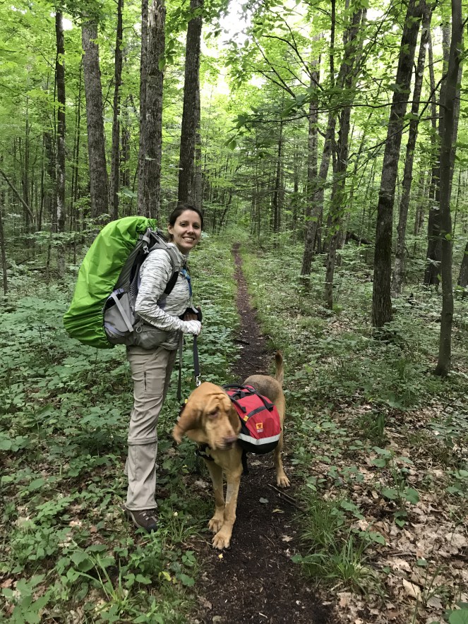 backpacking dog jordan river pathway michigan north country trail hiking