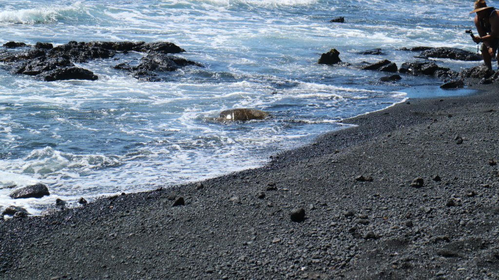 punaluu black sand beach hawaii big island attractions best