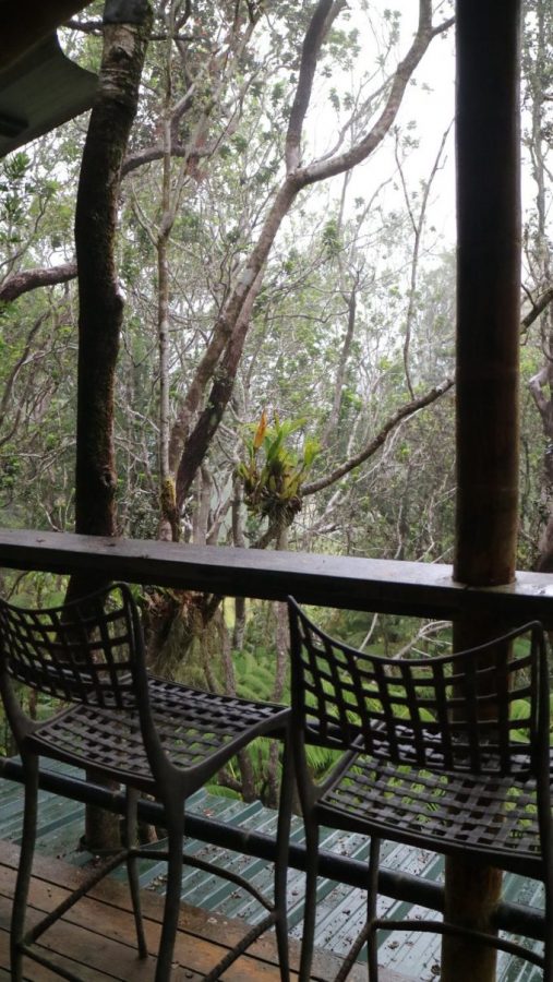 rainforest volcano treehouse hawaii bird watching