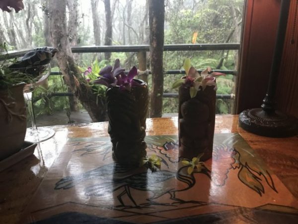 tropical drinks treehouse hawaii volcano big island orchid