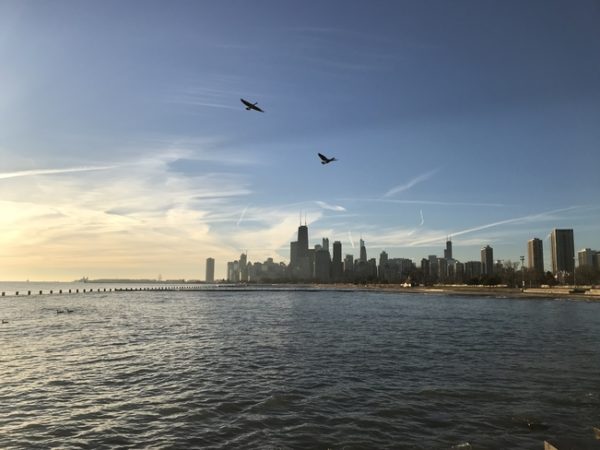 lakeshore trail chicago illinois running morning