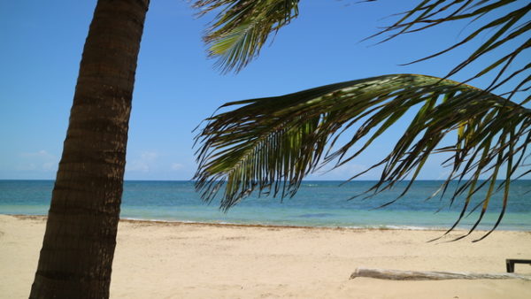 beach horseback riding zoetry agua punta cana dominican republic