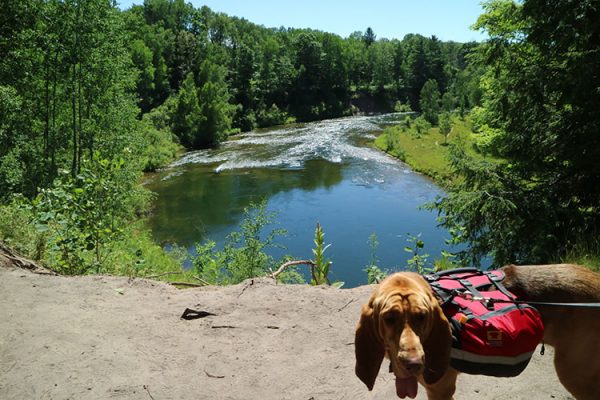 manistee river trail water dog filter backpacking safety