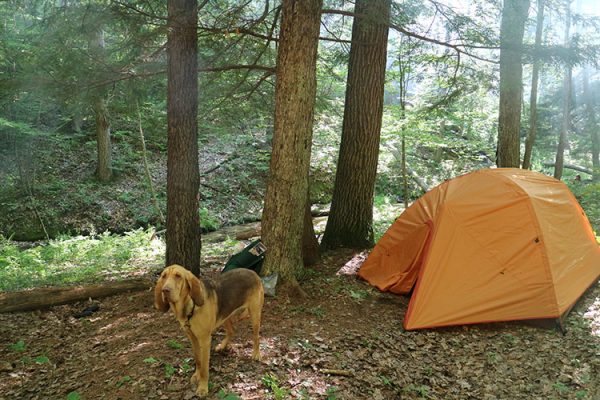 dog tent backpacking sleep comfortable hiking