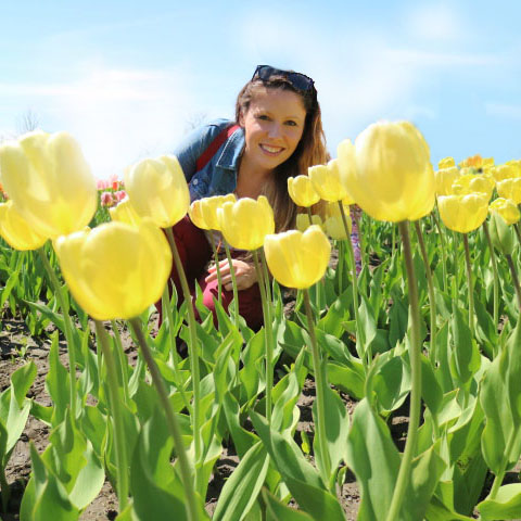 5 Tips for Visiting Tulip Time in Holland, MI - Aum Journeys, LLC