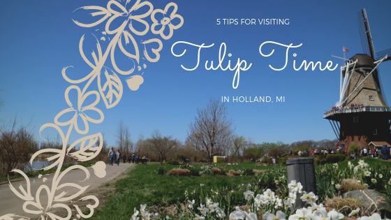 Tulip Time holland michigan may gardening
